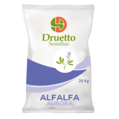 Alfalfa Aurora Druetto Semillas - El Galpón