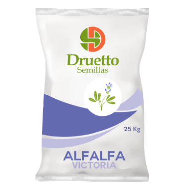 Alfalfa Victoria Druetto Semillas - El Galpón