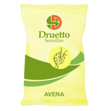 Avena Druetto Semillas - El Galpón