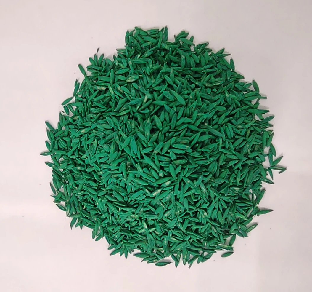 Festuca Druetto Semillas - El Galpón