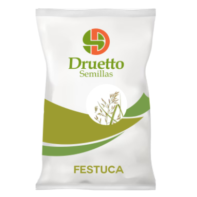 Festuca Druetto Semillas - El Galpón